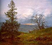 Johan Christian Dahl Evening Landscape with Shepherd oil painting on canvas